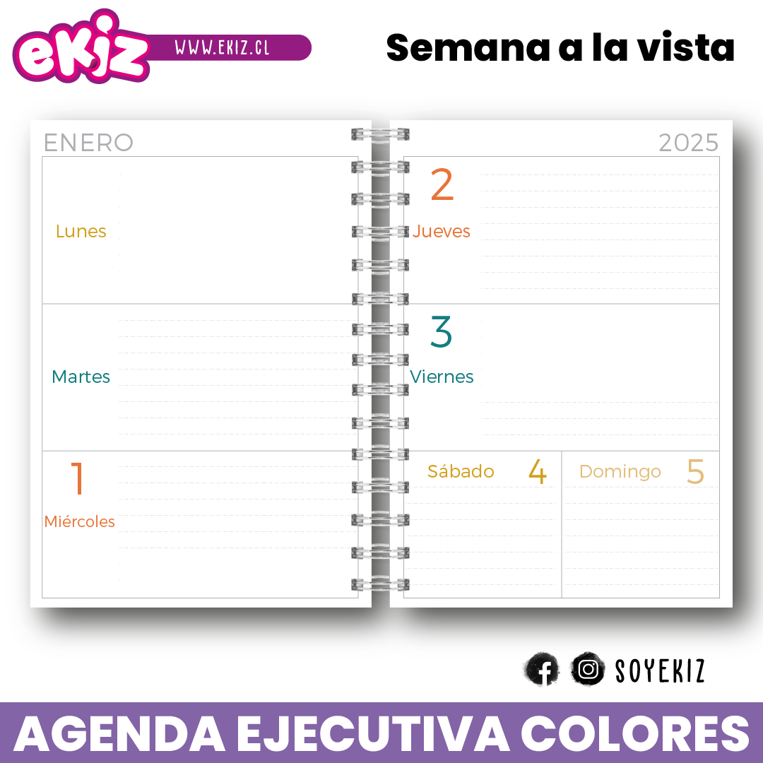 Agenda Ejecutiva de Colores 2025