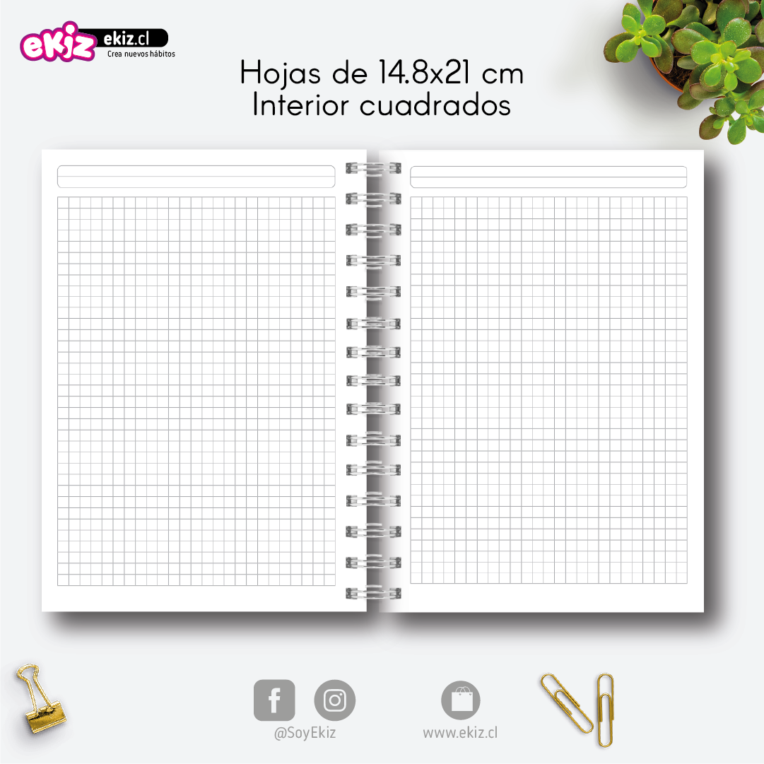 Cuaderno de Mickey Mouse - Amor
