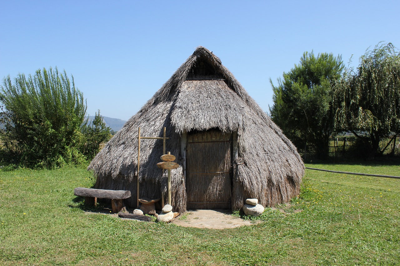 Mapuches